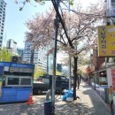라마나욧피아노학원 | 신림 피아노학원 훈피아노 :: Flower dance 레슨 후기