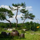 [6차산업 인증 사업장] 경북 영주 미소머금고 영농조합법인 고구마빵 만들기 체험