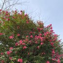 안녕 제주 이미지