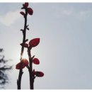 아파트 매매 과정과 세입자와의 조율, 공인중개사가 알려드립니다.
