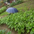 풍성한 은혜농장 이미지