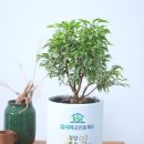 수석공인중개사사무소 이미지