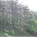 모정탑등산로(좌측) 이미지