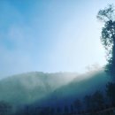 거제힐스토리키즈풀빌라 이미지