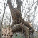 마이종합학습장 이미지