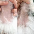 두카메디컬센터 이미지