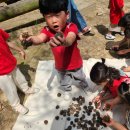 오금숲어린이집 이미지