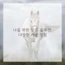헤어메이트 - 경주시 동대로 10-1 | 헤어메이트