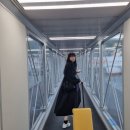 벚꽃이 만개한 3월의 2박3일 후쿠오카 여행/1일차