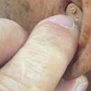 청명보청기센터 이미지