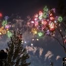 그늘막72 | 서울불꽃축제 숨은 명당 이촌한강공원 RM숲 후기