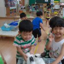 풍덕초등학교 병설유치원 이미지