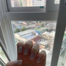 블루블라썸