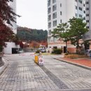 호평이화동물약국 이미지