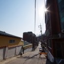 서오릉버스 종점 이미지