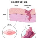 임신 테스트기 두줄 뜨기 쉽던데 이미지