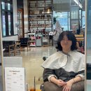 교하중앙공원 | 교하 운정미용실 추천! 고민 끝 중단발펌 아인스타일리스트 후기