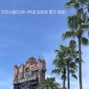 테마파크 뽀개기 준비, 디즈니월드/유니버셜 입장권 구매, Undercovertourist 후기, 카드 결제 꿀팁!!!