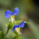 동화세탁소 이미지