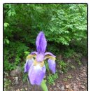 수산리마을회관 이미지