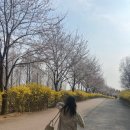 물결공원 화장실 이미지