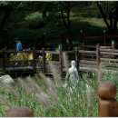 아차산공원 티스토리