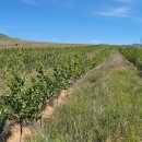 수원-1700 이미지