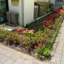 행복한 정원 이미지