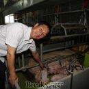 성산종돈장 이미지