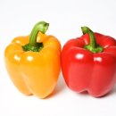 리바디짐 이미지