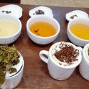 티마스터과정 이미지