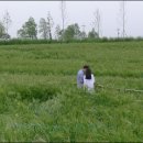 얼쑤농장 이미지