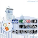 판테온미술학원 | 이탈리아 바티칸 박물관&성 베드로 대성전 투어