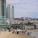 해리단길 | 부산 해리단길 미슐랭 맛집 딤타오 후기