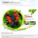 성일한방 이미지