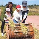 전라남도 농업박물관(테마공원) 이미지
