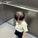 리프패럿일광점 | 기장 일광 19개월 아기랑 앵무새카페:) 리프패럿