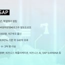 에스에이피