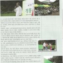 월간 시사저널 청풍 8월호에 소개된 힐링촌 개똥쑥 축제 이미지