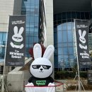 11월 대구 행사, 2024 미디어 뉴테크 대전 참여 후기