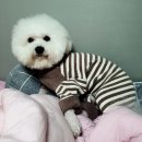 분재공원 화장실 이미지