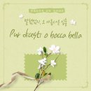 가사안토니오 이미지