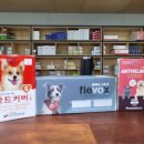 고려동물약품 이미지