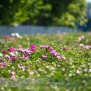 도동종합정비 이미지