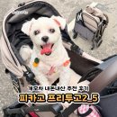 강아지풍경 | 강아지 유모차 피카고 프리투고 내돈내산 후기
