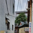 마당깊은집 길남이 이미지