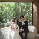 클래식과 나누는 우아한 수다 | 부겐빌리아 웨딩촬영 클래식 모던 분위기 견적 할인방법 웨딩촬영셀렉 추가금방어 총정리