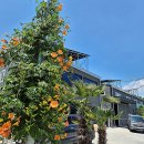 발효와 부패란? 발효액비의 필요성과 효능 이미지