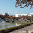 영남대학교 이미지