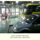 김여사몰 Daum카페
